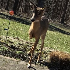 Meet your Posher, Brianna